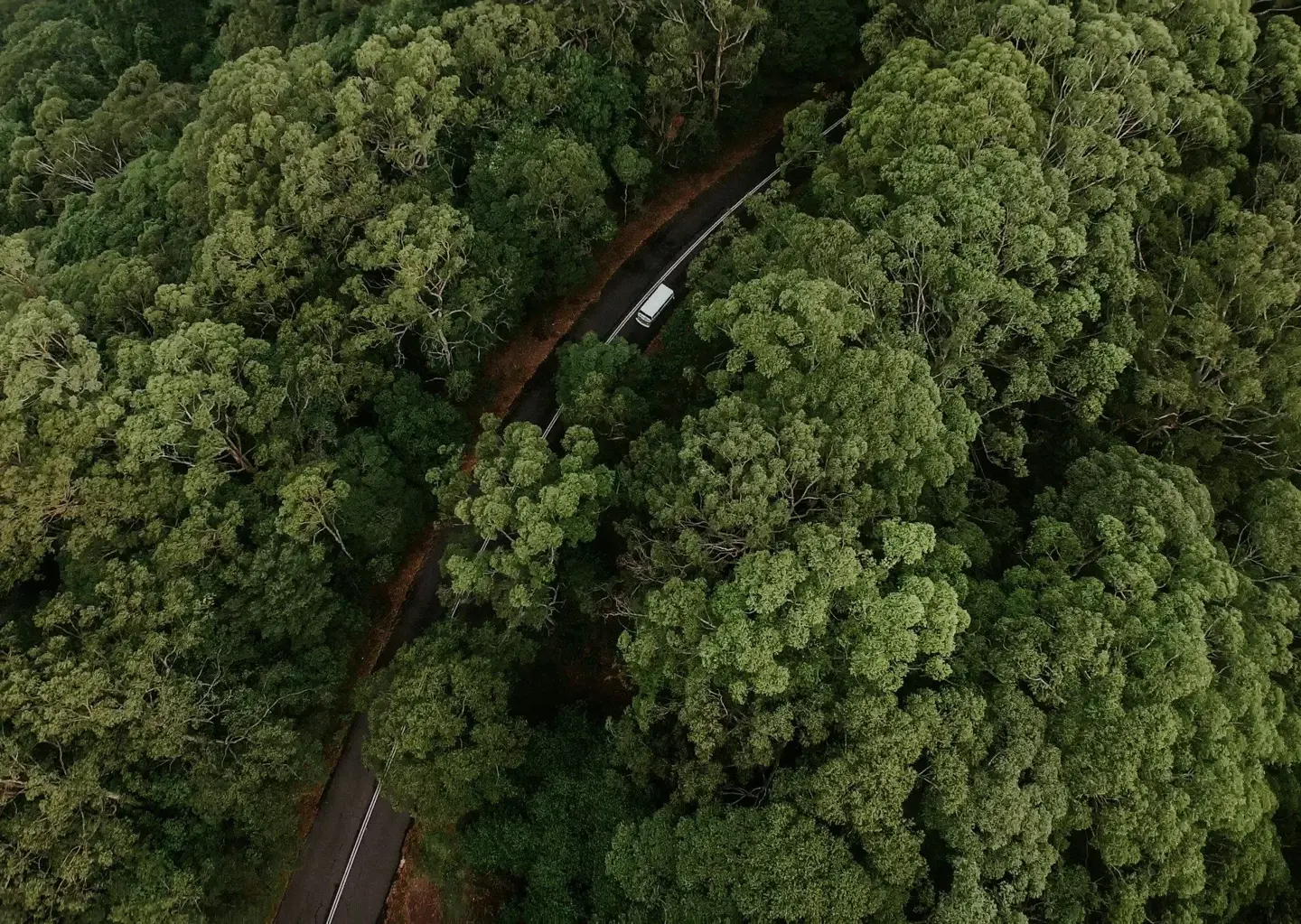 Car driving on scenic road representing road trip itineraries and travel journeys.